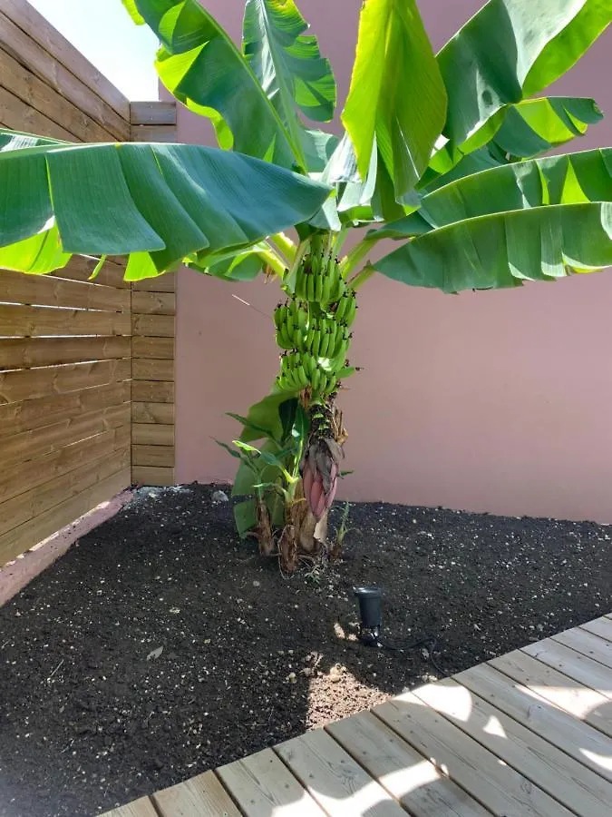 Kokogites, Bungalows Avec Piscines Privatives Saint-Francois  Holiday home